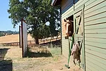 Morris foundation picture